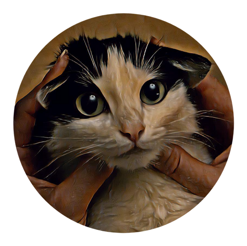 Котокафе Гродно